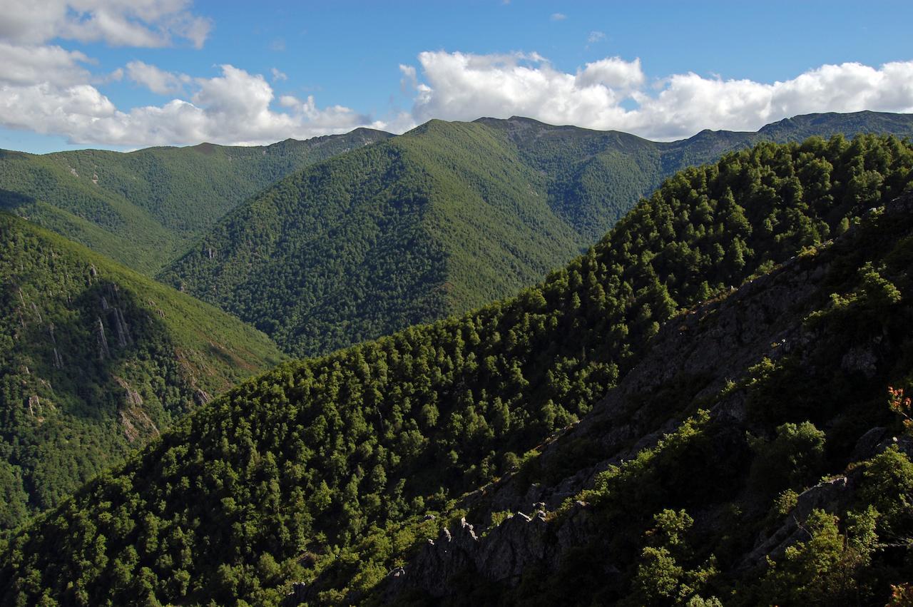El Mirador De Fuentes Del Narcea 호텔 Moncó 외부 사진
