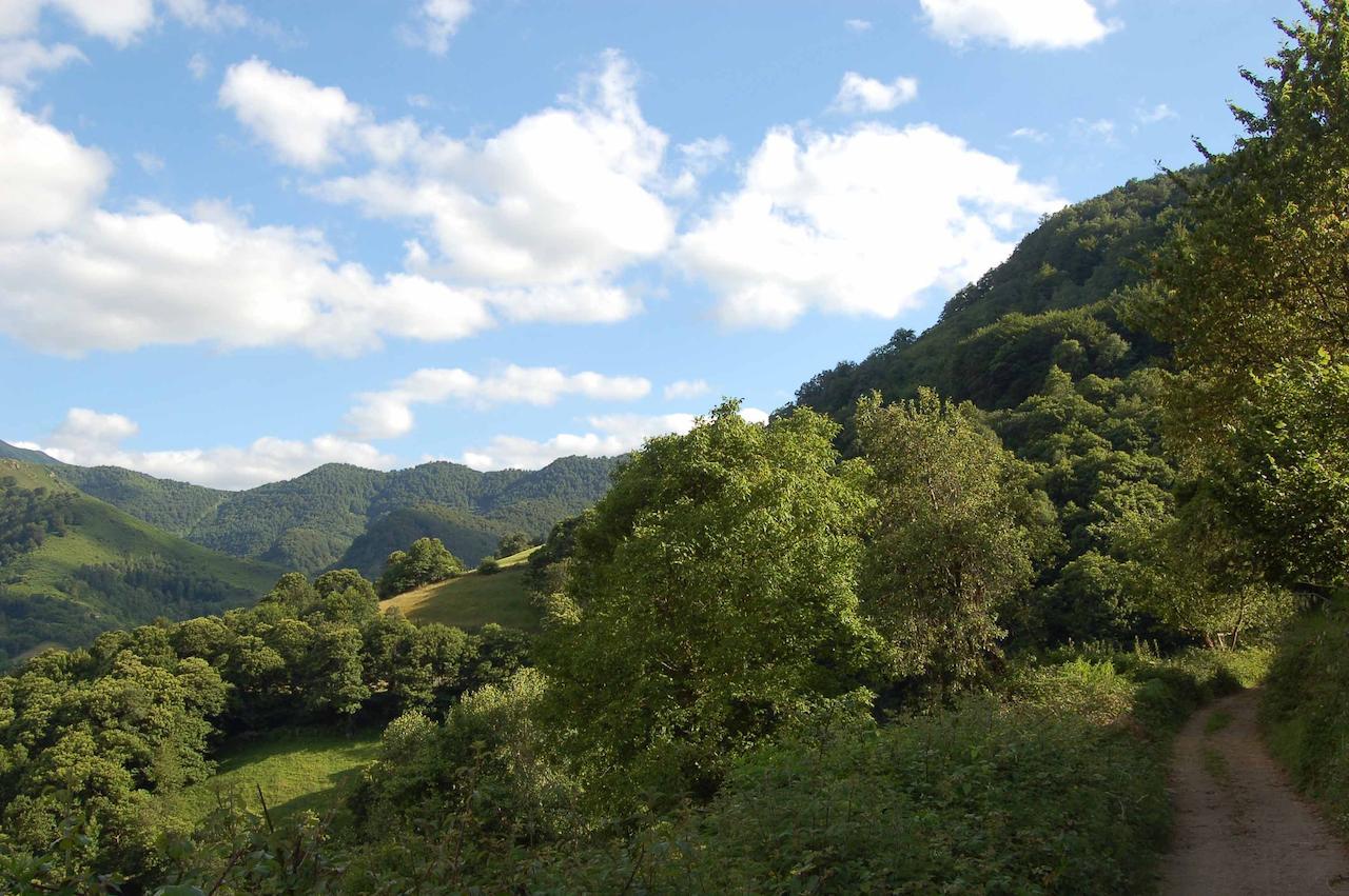 El Mirador De Fuentes Del Narcea 호텔 Moncó 외부 사진