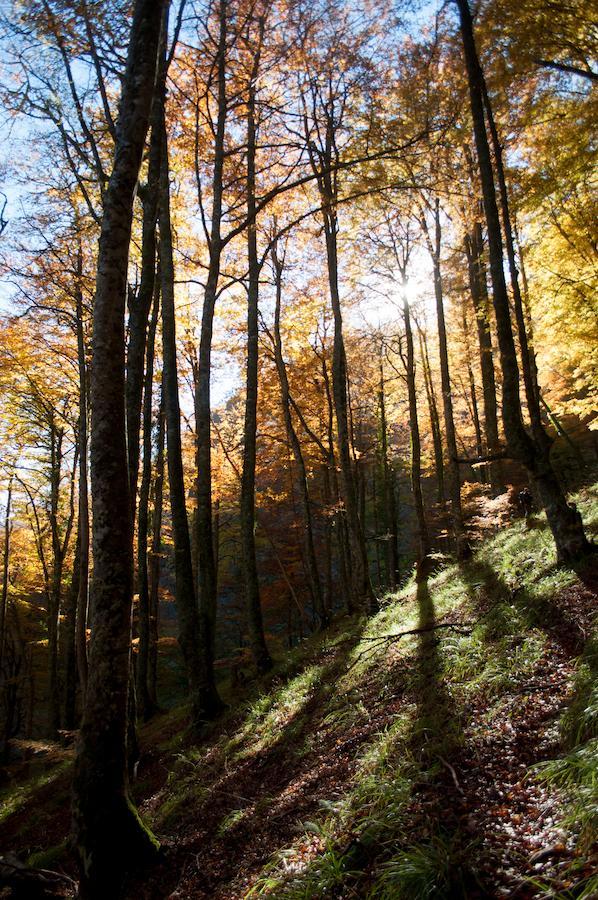 El Mirador De Fuentes Del Narcea 호텔 Moncó 외부 사진